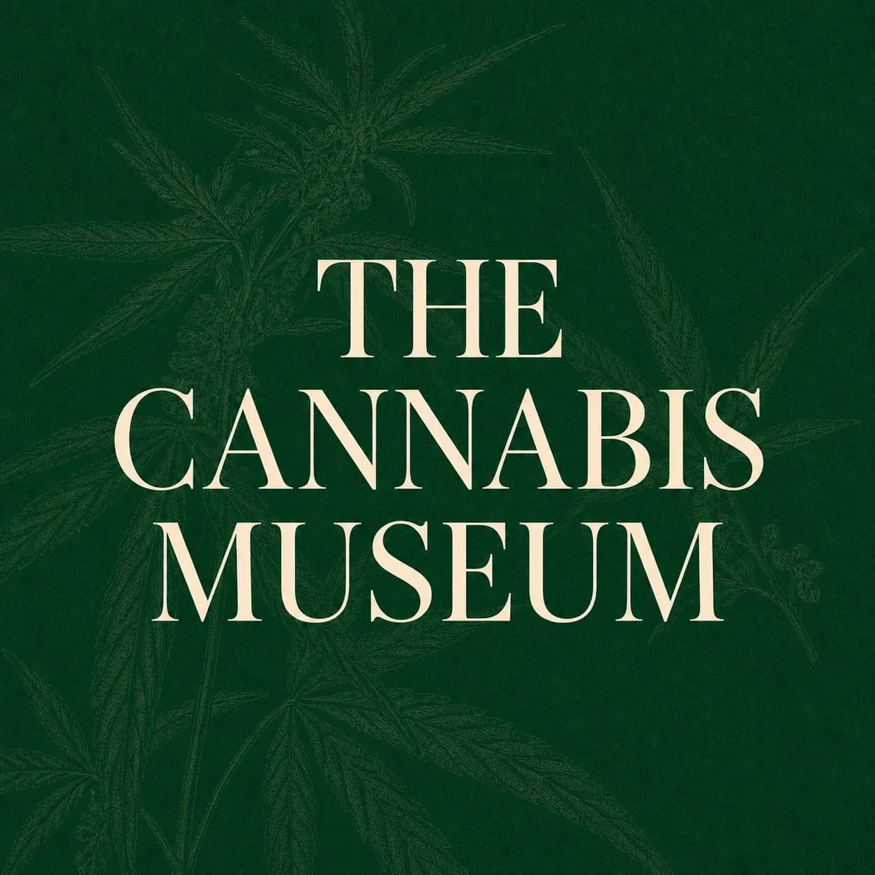 Cannabis Museum, project by Studio Keokee